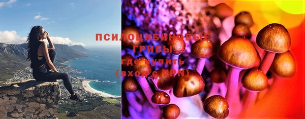 прущая мука Армянск