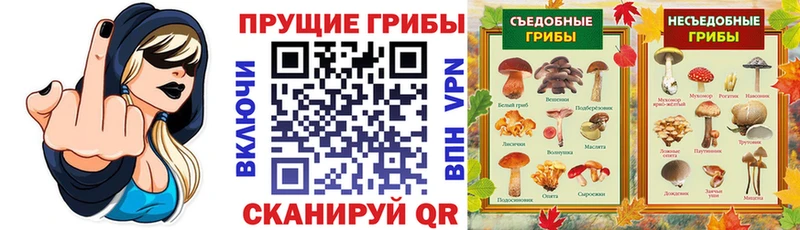 наркошоп Урюпинск Галлюциногенные грибы ЛСД
